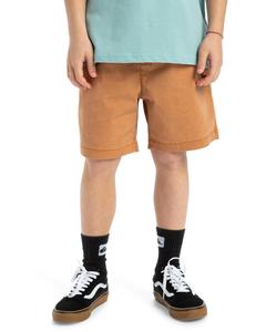 QUIKSILVER Шорты с эластичным поясом TAXER YOUTH 15" Brown Boy