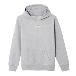Худи Ellesse Otternere 2, серый
