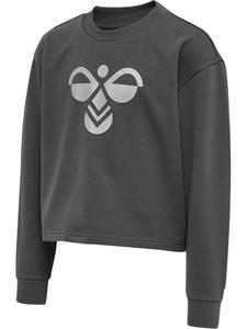 Hummel Детская толстовка "Hmlcinco Sweatshirt" серого цвета