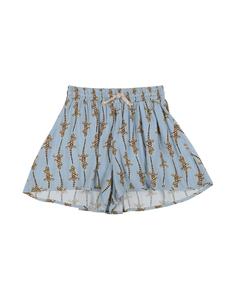 Шорты Dixie, небесно-голубой