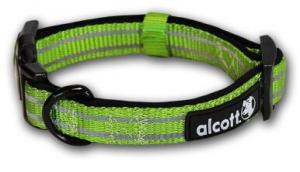 Зеленое колье Alcott Explorer Adventure 25-35см х 16мм Alcott, цвет зеленый