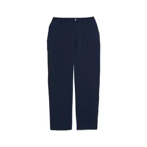 Повседневные брюки мужские темно-синие The North Face, темно-синий