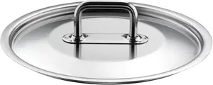 Крышка Pintinox Master для кстрюли, серебряный