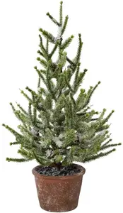 Мой дом Искусственная елка "Елочные украшения, искусственная елка, елка", ель со снегом My home Высота: 55 см, до, зеленый/белый