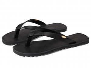 Сандалии AllSaints Sydney Sandals, черный