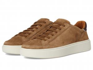 Кроссовки Allen Edmonds Oliver-2 Court Inspired Shoes, цвет Tobacco Leather