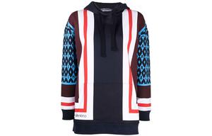 Женская разноцветная толстовка Valentino, мультиколор