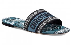 Dway Слайдеры Женские Голубые DIOR