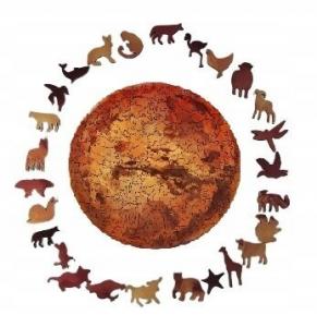 Деревянный пазл для взрослых Марс xxl Pasjo24