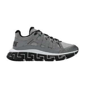 Кроссовки Versace Trigreca, серый