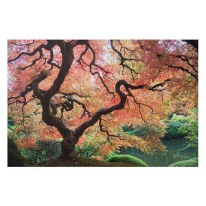 Картина Bilderwelten Japanischer Garten III, 75x50x0,3 см, разноцветный