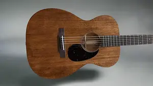 Martin Мартин 00-15M