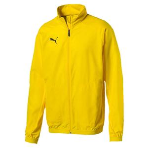 Мужская тренировочная куртка Puma Liga Sideline Jacket 655667