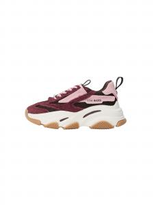 STEVE MADDEN Кроссовки 'POSSESSION' в цвете Aubergine