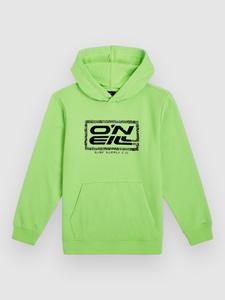 Толстовка O'Neill Logo Kids Hoodie, paradise valley