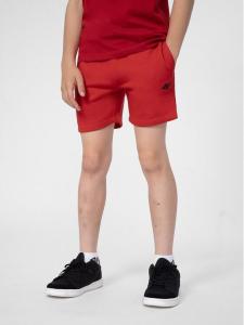 Спортивные шорты стандартного кроя 4F, красный