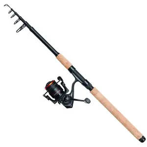 Набор для спиннинга Kinetic Zathar Tele 1000FD, золотой