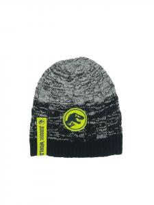 Шапка-бини T-Rex разноцветная Jurassic World