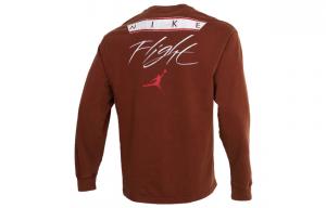 Мужская толстовка Jordan, цвет Brown