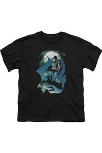 Футболка детская Batman Glow Of The Moon с коротким рукавом Gildan, черный