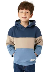 Толстовка с капюшоном в стиле 3c block Band Of Rascals, Blue Aegean Blue