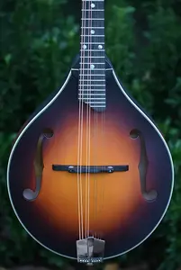 Eastman MD305E - Сансерст