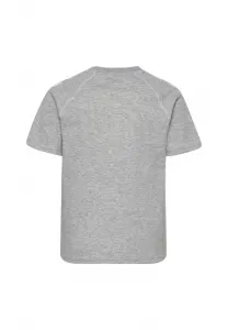 2.0 футболка с принтом ss Hummel, Grey Melange