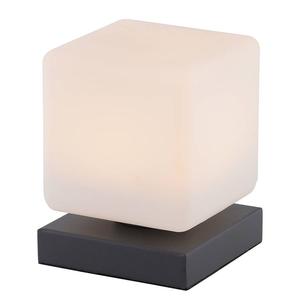 Настольная лампа Paul Neuhaus Dadoa, матовое стекло / железо - 1 лампа - черный