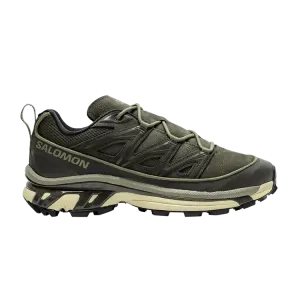 Кроссовки Salomon XT-6 Expanse Leather 'Deep Lichen Green', зеленый
