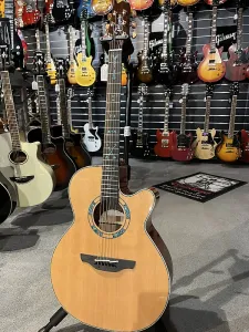 TAKAMINE SANTA FE LTD 2023 30-Я ГОДОВЩИНА 2023 - NATURELLE