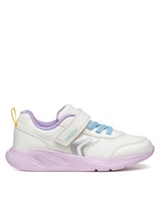 Кроссовки B Sprintye J36FWB 01454 C0761 M Geox, белый