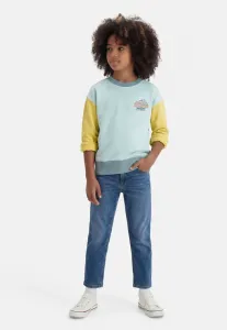 Универсальная толстовка crew Patagonia, Mint