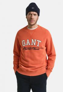 Толстовка GANT GRAPHIC , Deep Orange/Orange