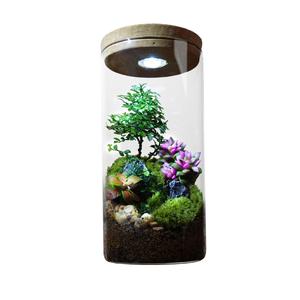 Настольное украшение Qiu Chen