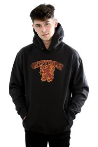 Толстовка со спортивной эмблемой Гриффиндора Harry Potter, черный