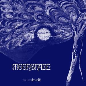 Виниловая пластинка Roger Webb Sound: Moonshade