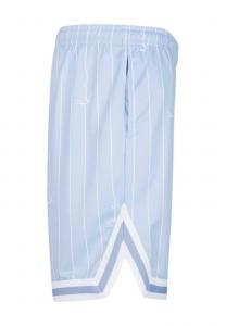 Шорты Small Varsity Logo Karl Kani, светло-голубые белые