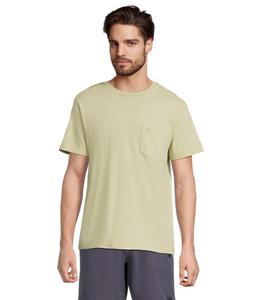 Футболка RVCA PTC 2 Pigment Short Sleeve, цвет Light Olive
