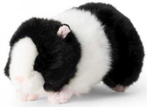 Черно-белая морская свинья, Свинья Animigos