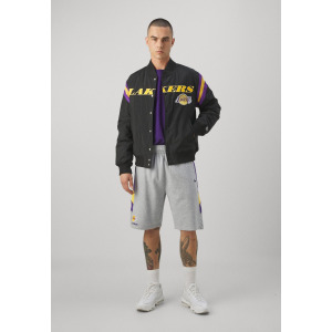 Брюки NBA LOS ANGELES LAKERS PANEL OVERSIZE SHORT New Era, серый