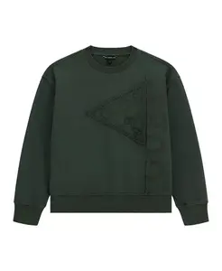 Мальчики 8-18 лет толстовка с длинным рукавом Guess, зеленый