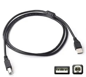 Кабель Silverline 6FT USB 2.0 для клавишных/пианино Yamaha: YPT-360, YPT-370, YC61, YC73, YC88, CP73… Silverline Audio