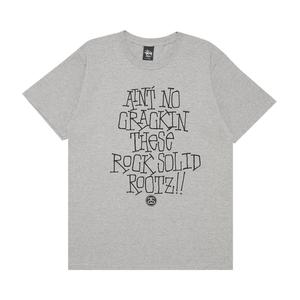 Футболка Stussy Aint No Crackin Grey Heather