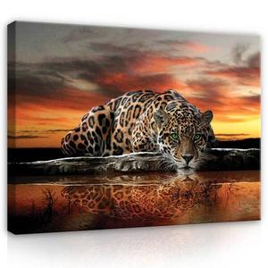 Картина на холсте Wallarena Jaguar Tiere Wohnzimmer, 80x60x2 см, многоцветный