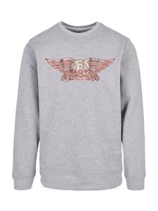 Свитер F4NT4STIC Sweatshirt Aerosmith, серый