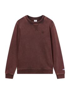 Толстовка Champion Authentic Athletic Apparel, коричневый