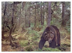 Коврик для душа Wallario, нескользящий коврик, коврик для ванной, коврик для двери, опасный медведь гризли в лесу, размер примерно 90 х 65 см, коричневый