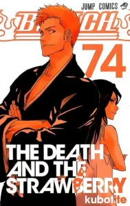 Bleach 74 (Jump Comics)