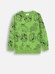 Coccodrillo Зеленая толстовка