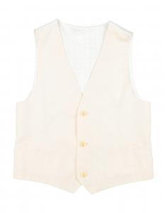 Жилет для мальчиков Dolce&Gabbana, айвори
